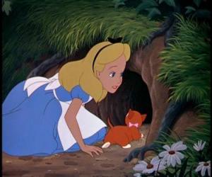 puzzel Alice en haar kat zijn Diana en bereiken de deelstaat Wonders