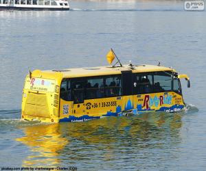 puzzel Amfibiebus