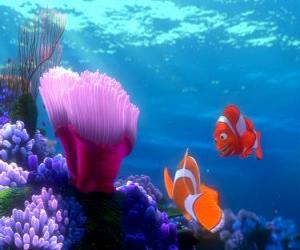 puzzel Coral en Marlin met zijn nieuwe huis met uitzicht op de oceaan