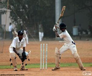 puzzel Cricket speler