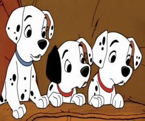 puzzel Drie dalmatiër puppies