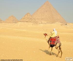 puzzel Een kameel in voorzijde van de piramides, funeraire monumenten van het oude Egypte