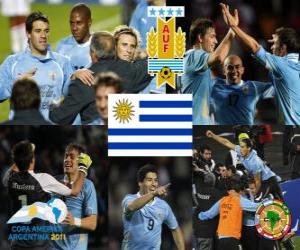 puzzel Finalist Uruguay, Copa America Argentinië 2011