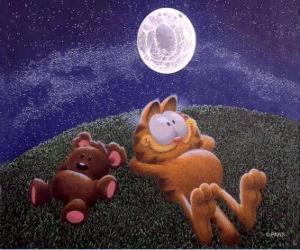 puzzel Garfield rusten onder het maanlicht met zijn grote vriend een teddybeer Pooky