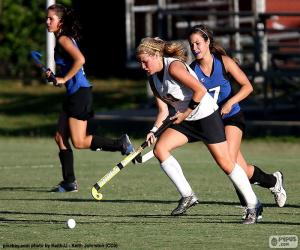 puzzel Hockey - Speler met de stok of stick besturen van de bal