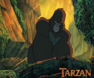 puzzel Kerchak, het dominante mannetje