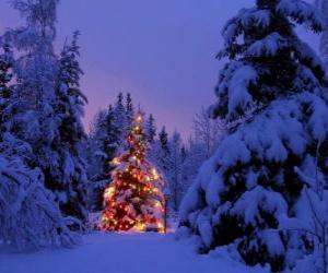 puzzel Kerst bomen in een besneeuwd landschap