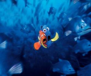 puzzel Marlin en Dory erg bang door een koppel van vis