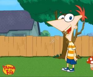 puzzel Phineas Flynn, een jongen van 11 jaar zeer intelligent en Ferb stiefbroer
