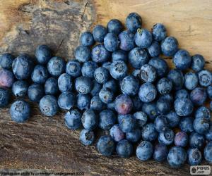 puzzel Veenbes, bosbessen fruit of bessen
