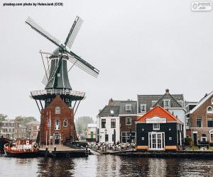 puzzel Adriaan Mill, Haarlem, Nederland