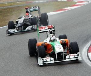 puzzel Adrian Sutil - Force India - Shanghai 2010