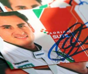 puzzel Adrian Sutil - Force Nederland - Hongaarse Grand Prix 2010