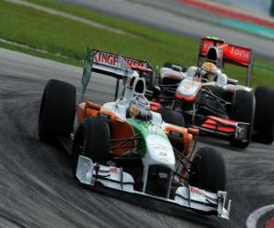 puzzel Adrian Sutil, Sepang 2010