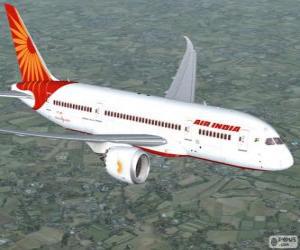 puzzel Air India is de belangrijkste luchtvaartmaatschappij van de India
