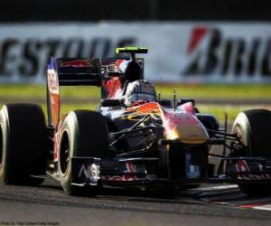 puzzel Alguersuari - Toro Rosso - Suzuka 2010