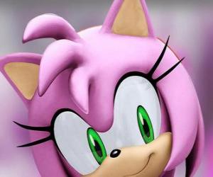 puzzel Amy Rose is een rose egel met groene ogen, is waanzinnig verliefd op Sonic