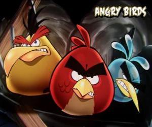 puzzel Andere drie vogels van het videospel Angry Birds