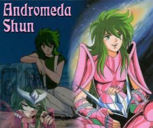 puzzel Andromeda Shun, de Heilige brons van Andromeda het sterrenbeeld