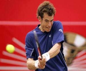 puzzel Andy Murray klaar voor een coup