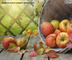 puzzel Appels in de Herfst