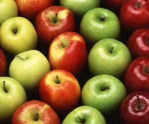 puzzel Appels van verschillende typen