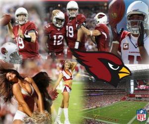 puzzel Arizona Cardinals