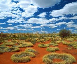 puzzel Australische outback