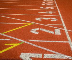 puzzel Baan Atletiek, 100 m