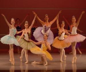 puzzel Ballet Toon