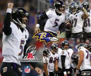 puzzel Baltimore Ravens de 2012 AFC kampioen