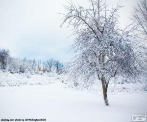 puzzel Besneeuwde boom