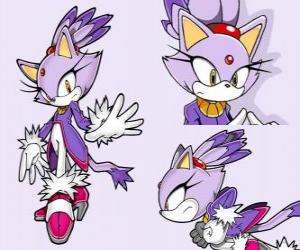 puzzel Blaze the Cat, een prinses en een van de vrienden van Sonic