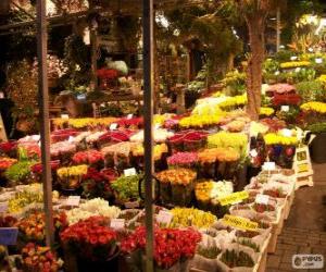 puzzel Bloemenmarkt, Amsterdam, Nederland