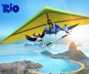 puzzel Blu ara, Toucan Rafael Jewel en een deltavlieger vliegen over de stad Rio de Janeiro