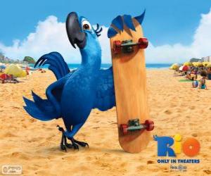 puzzel Blu is een leuk ara en de hoofdpersoon van de film Rio