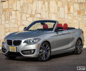 puzzel BMW 2 serie Convertible 2015