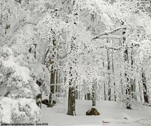 puzzel Bos volledig ingesneeuwd