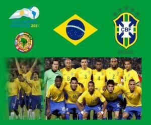 puzzel Brazilië National Team, Groep B, Argentinië 2011