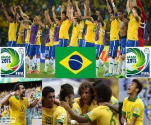 puzzel Brazilië Cup FIFA Confederations 2013