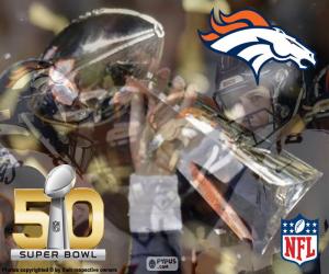 puzzel Broncos, Super Bowl 2016 Champions
