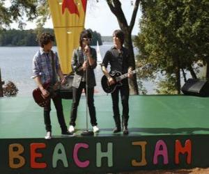 puzzel Brothers Shane (Joe Jonas), Nate (Nick Jonas) en Jason Gray (Kevin Jonas), zingen in het Camp Rock Beach Jam