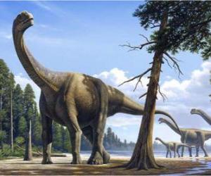 puzzel Camarasaurus in het landschap