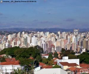 puzzel Campinas, Brazilië