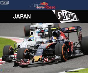 puzzel Carlos Sainz Jr., Grand Prix van Japan 2016