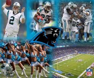 puzzel Carolina Panthers