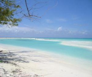 puzzel Cayo Largo, Cuba