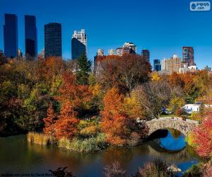 puzzel Central Park, New York