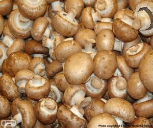 puzzel Champignon