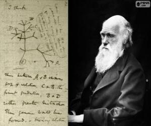puzzel Charles Darwin (1809-1882), Brits bioloog